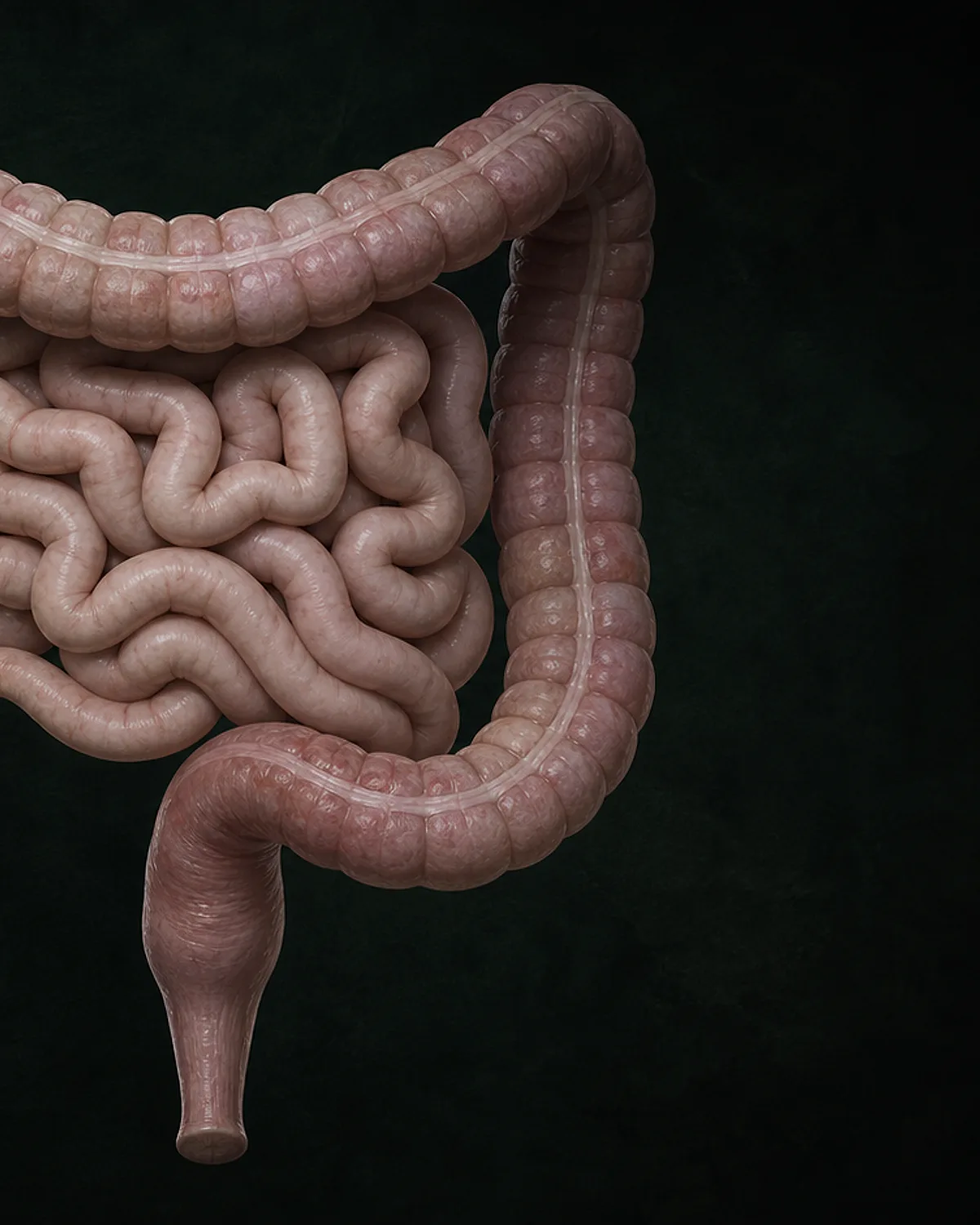 Constipation is not only about how often you go — conceptual educational and editorial visual