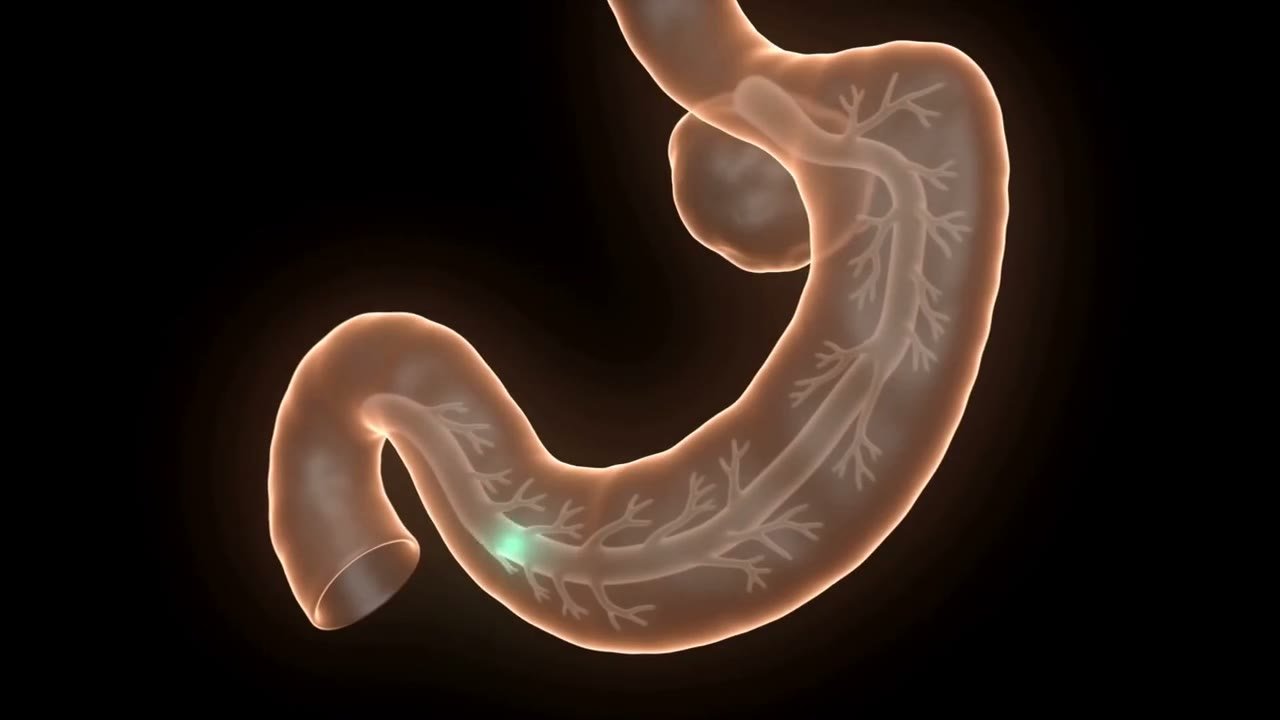 Bloating, gas and abdominal pain — conceptual educational and editorial visual